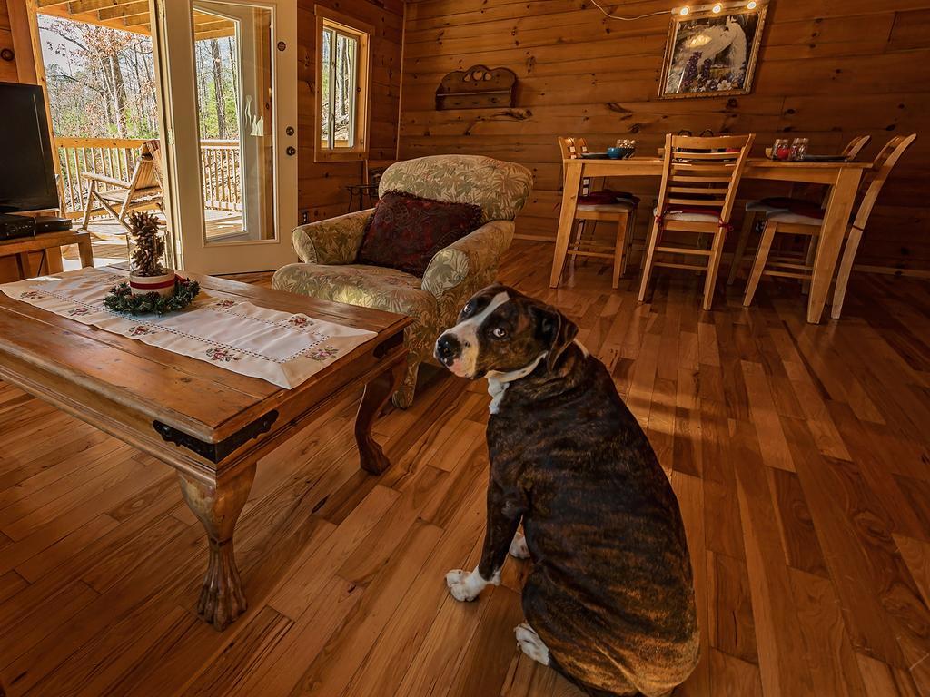 Log Cabin In Smoky Mountains Hotel Sevierville Eksteriør billede